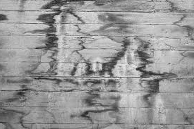 images madera