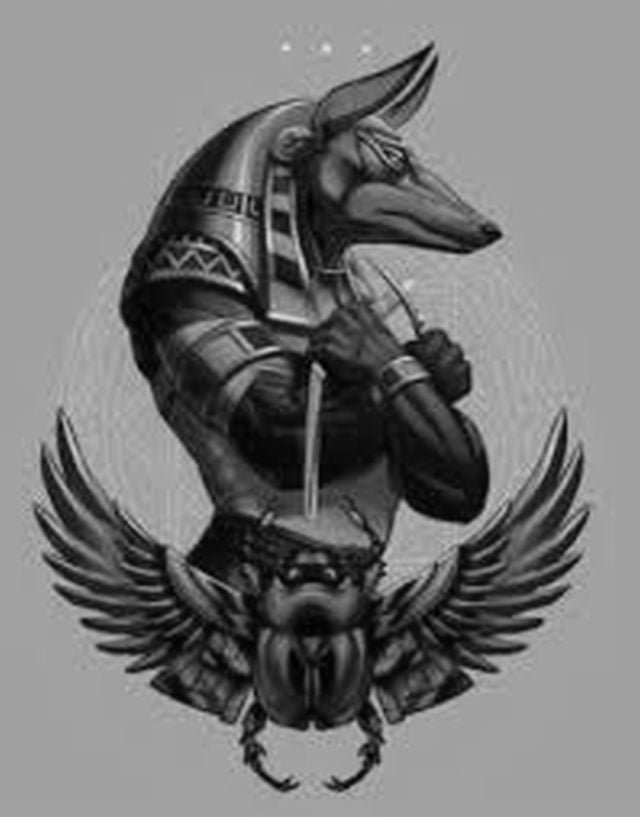images anubis