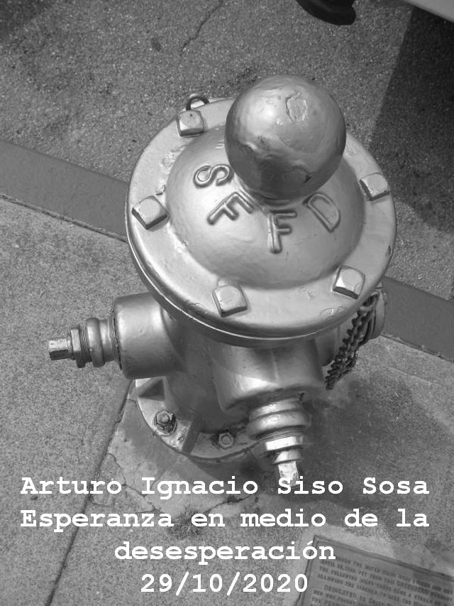 images Arturo Ignacio Sosa 206